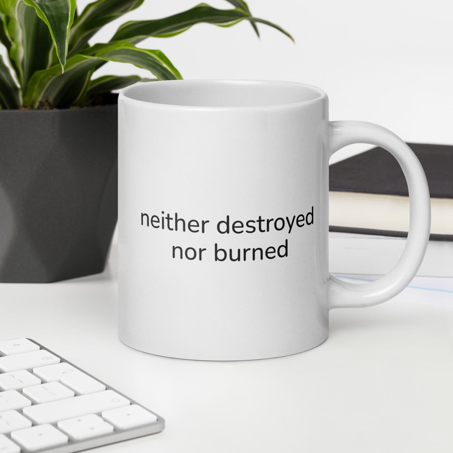 White Glossy Mug | Neither Destroyed Nor Burned | Fall Collection |